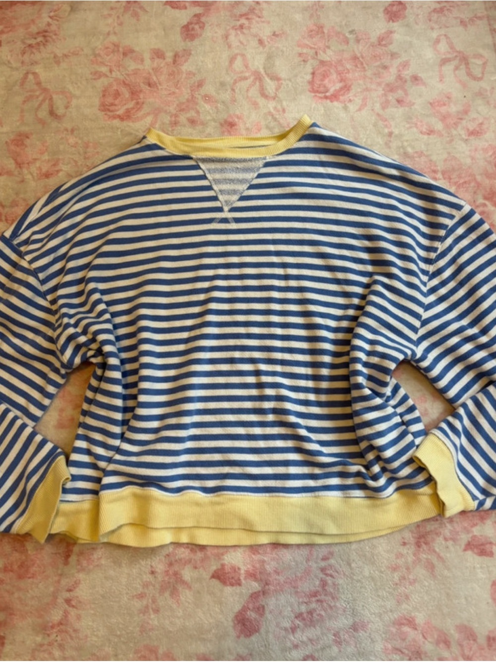 Free people we the free classic striped oversized crewneck